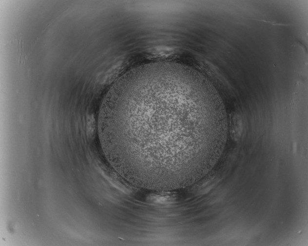 X0000103290563200809051502