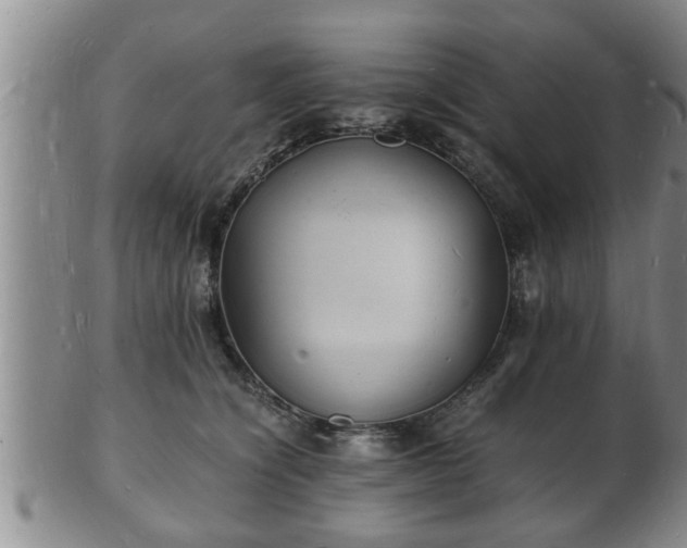 X0000103290564200809051502