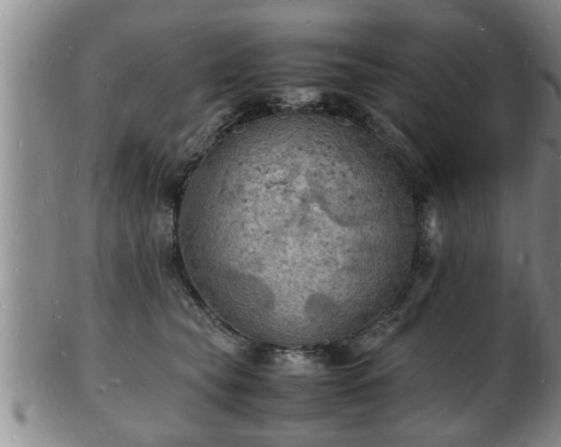 X0000103290565200809051502