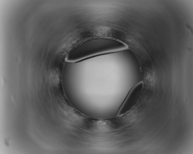 X0000103290566200809051502