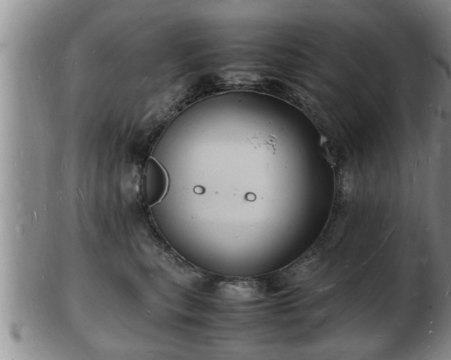 X0000103290567200809051502