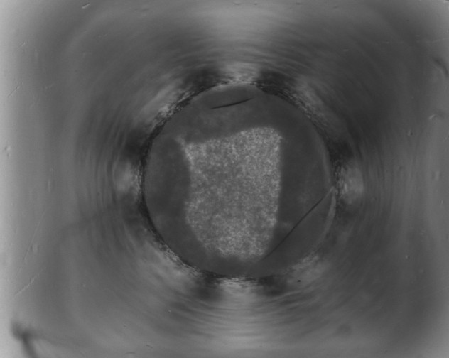 X0000103290568200809051502