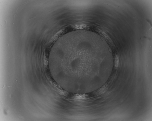 X0000103290569200809051502