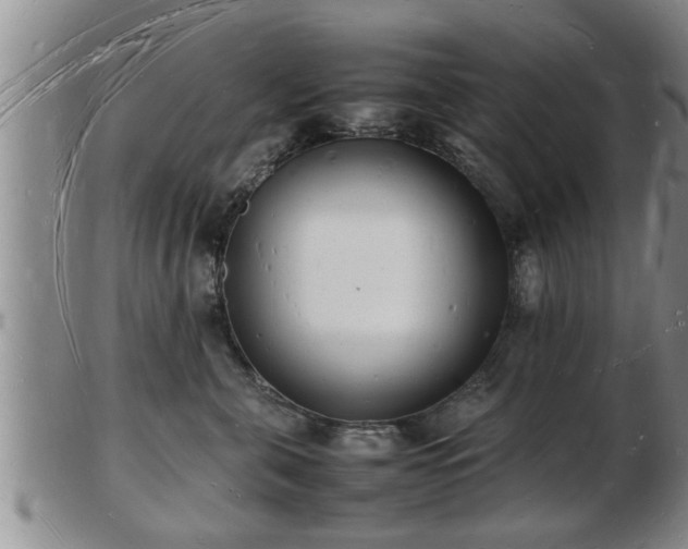 X0000103290571200809051502