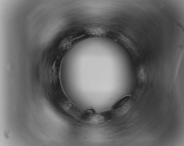 X0000103290572200809051502