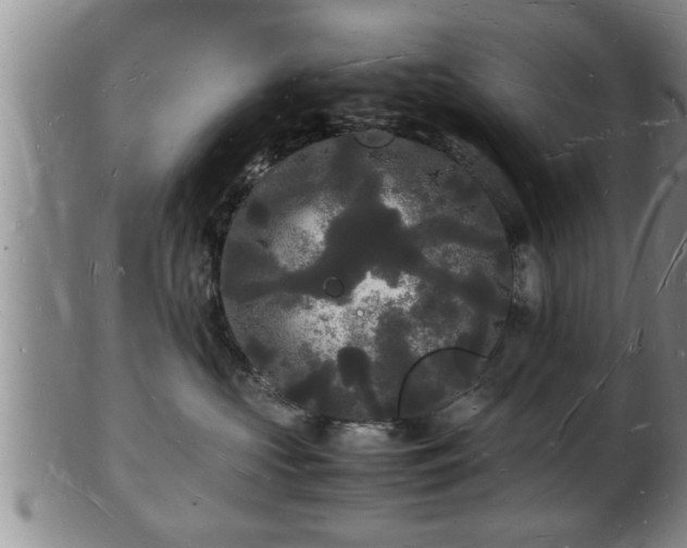 X0000103290573200809051502