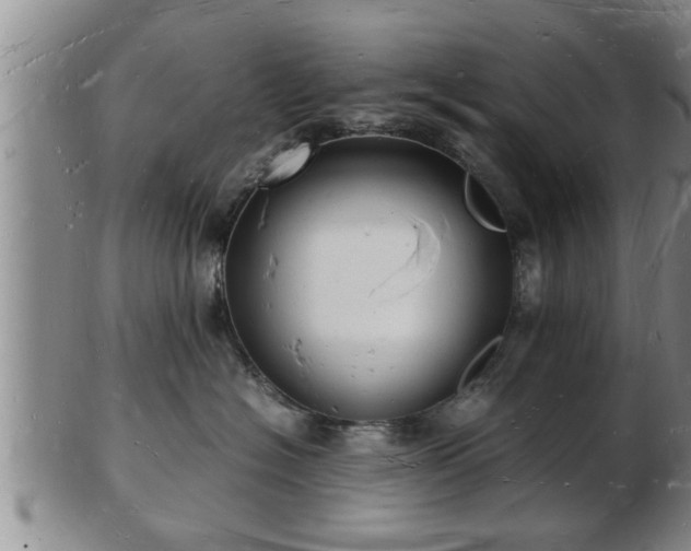 X0000103290574200809051502