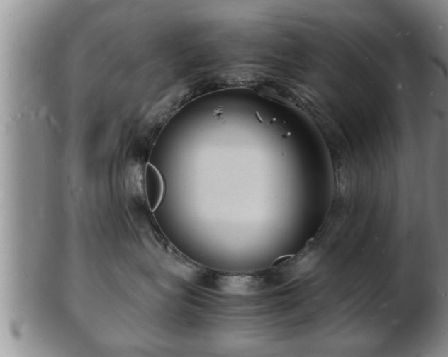 X0000103290575200809051502