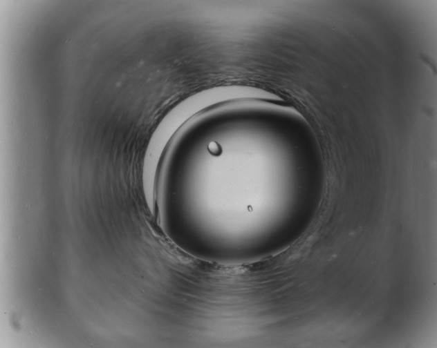 X0000103290576200809051502