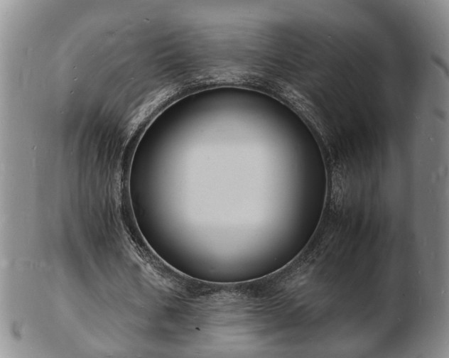 X0000103290578200809051501