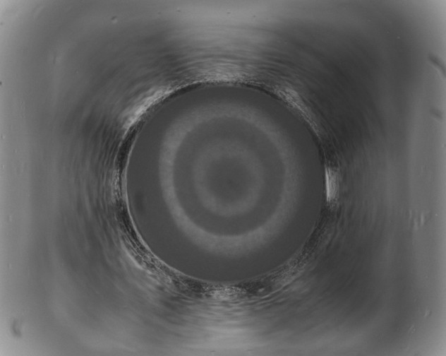 X0000103290579200809051501