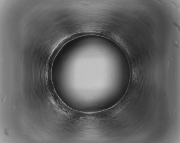 X0000103290580200809051501