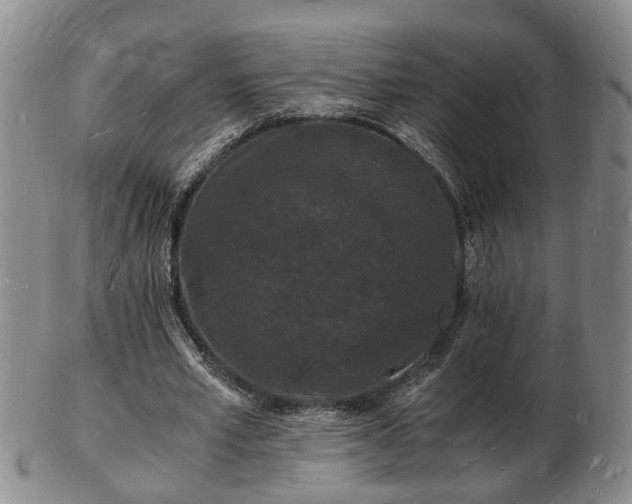 X0000103290581200809051501