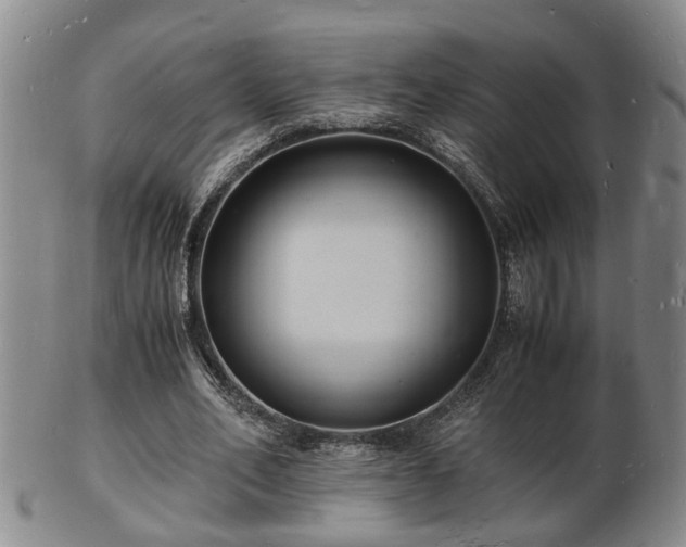 X0000103290582200809051501