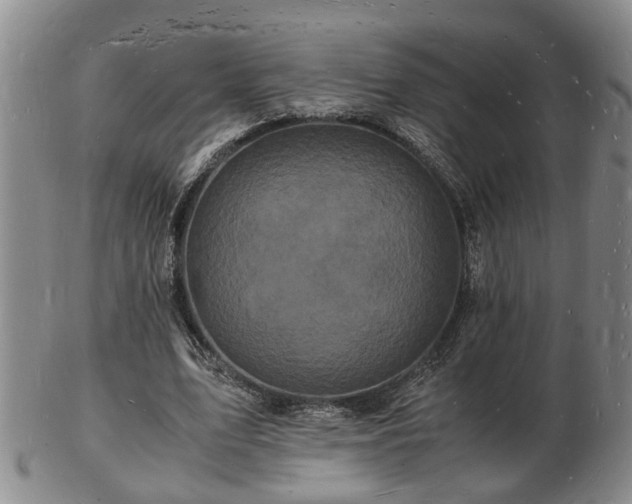 X0000103290583200809051501