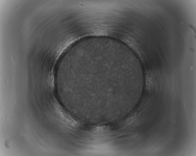 X0000103290584200809051501