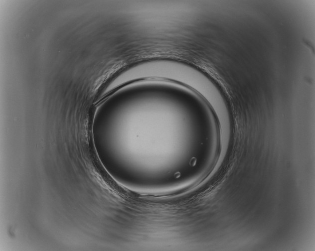 X0000103290585200809051501