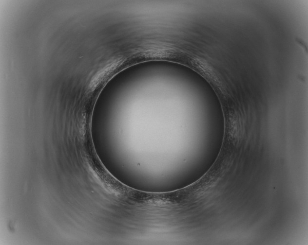 X0000103290586200809051501