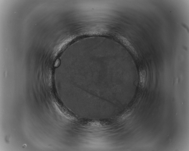 X0000103290588200809051501