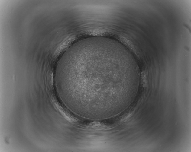 X0000103290589200809051501