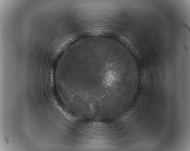 X0000103290590200809051501