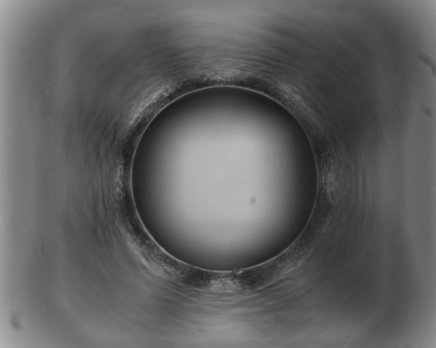 X0000103290591200809051501