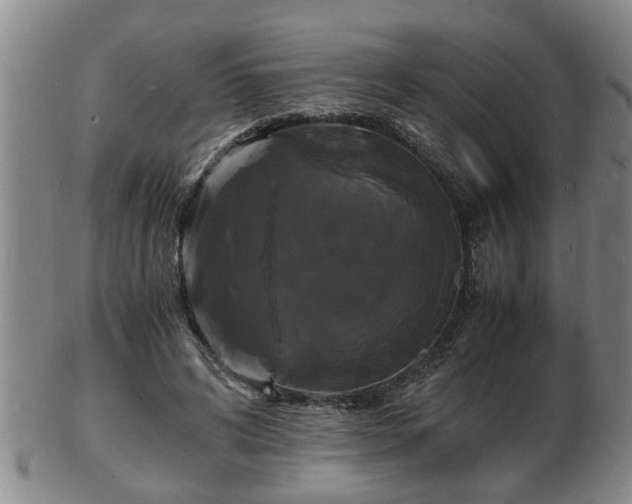 X0000103290592200809051501