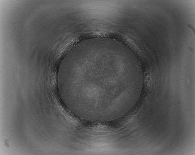 X0000103290593200809051501