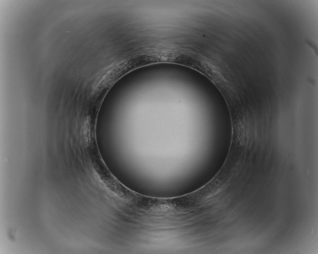 X0000103290594200809051501