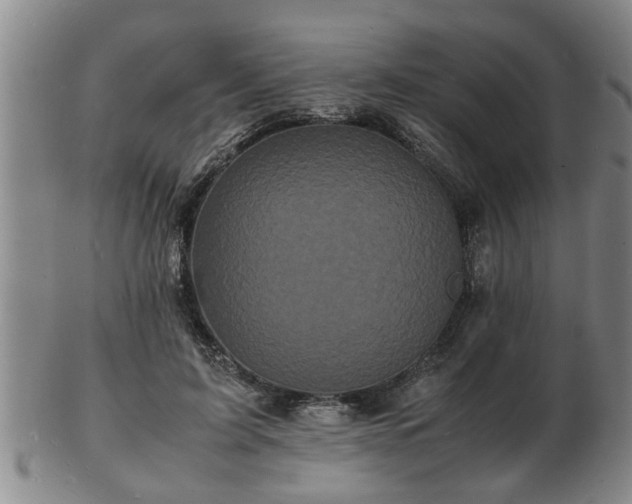 X0000103290595200809051501