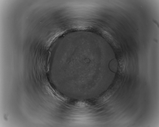 X0000103290596200809051501