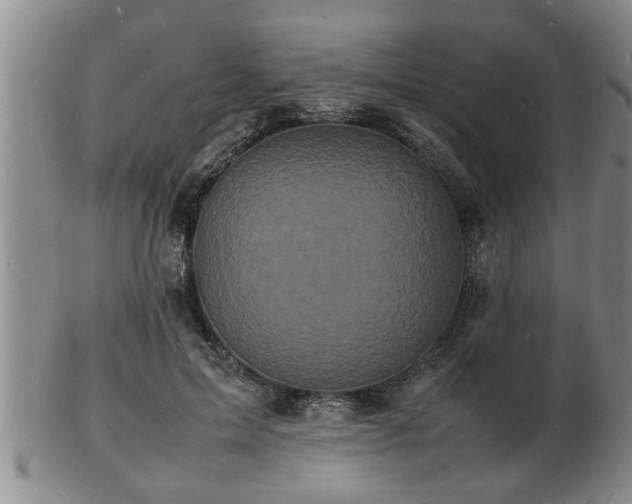 X0000103290599200809051501