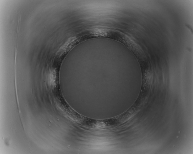 X0000103290600200809051501