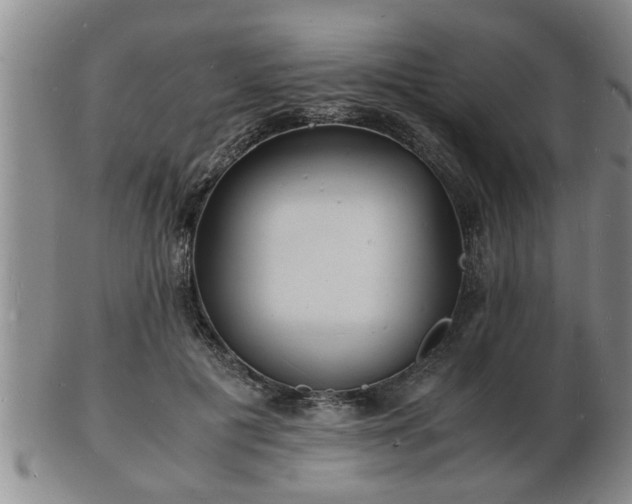 X0000103290601200809051501