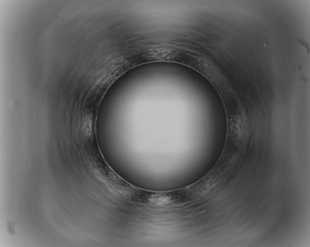 X0000103290602200809051501