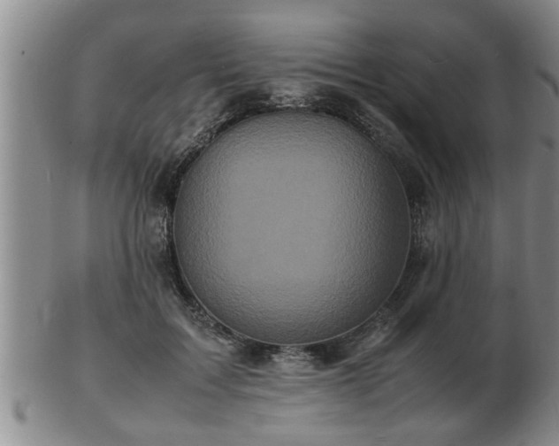 X0000103290603200809051501