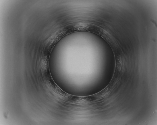 X0000103290604200809051501