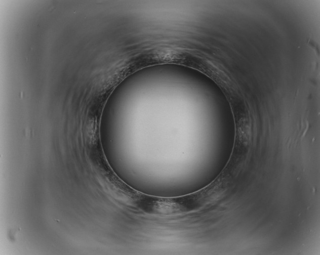 X0000103290605200809051501