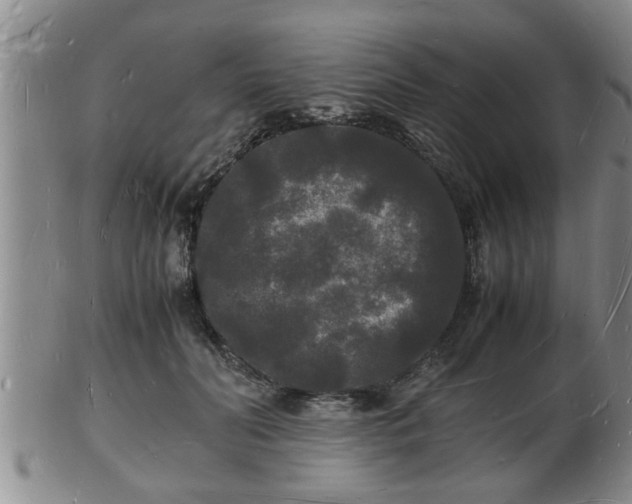 X0000103290606200809051501