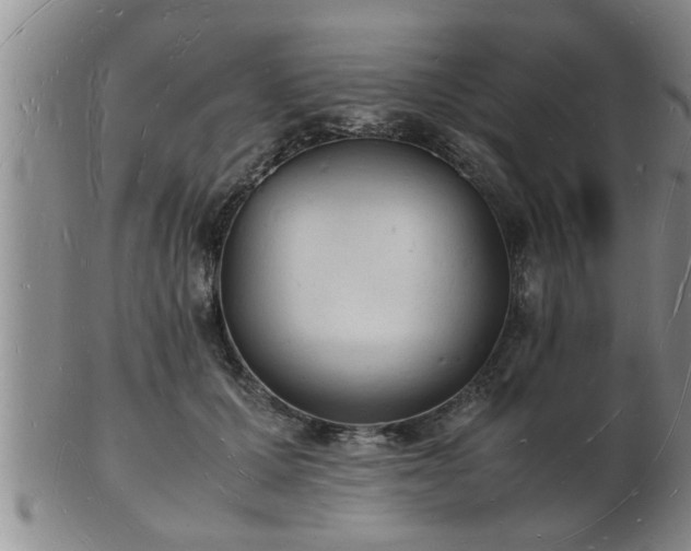 X0000103290607200809051501