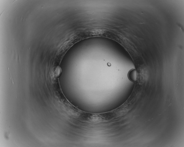 X0000103290608200809051501