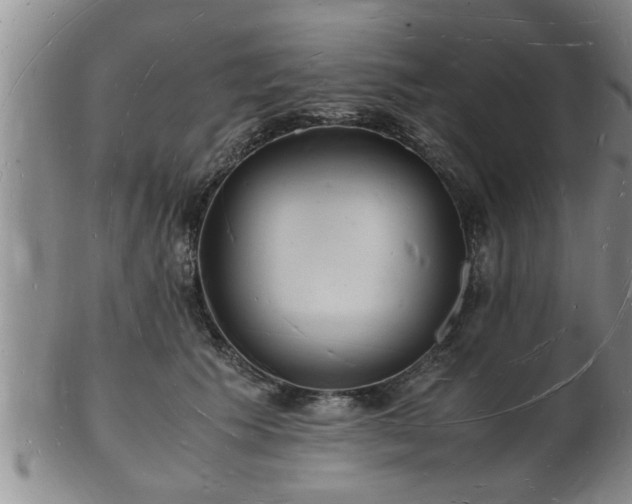 X0000103290609200809051501