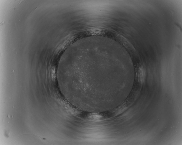 X0000103290610200809051501