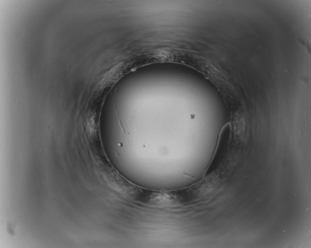 X0000103290611200809051501