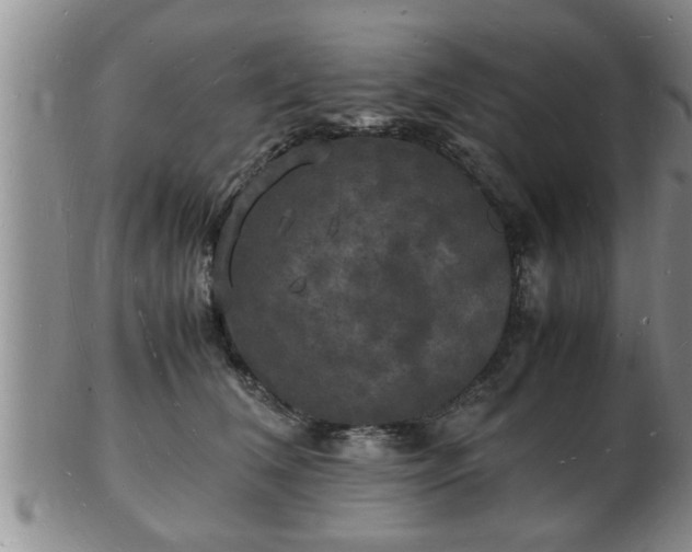 X0000103290612200809051501