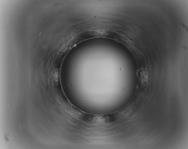 X0000103290613200809051501