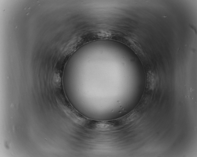 X0000103290614200809051501