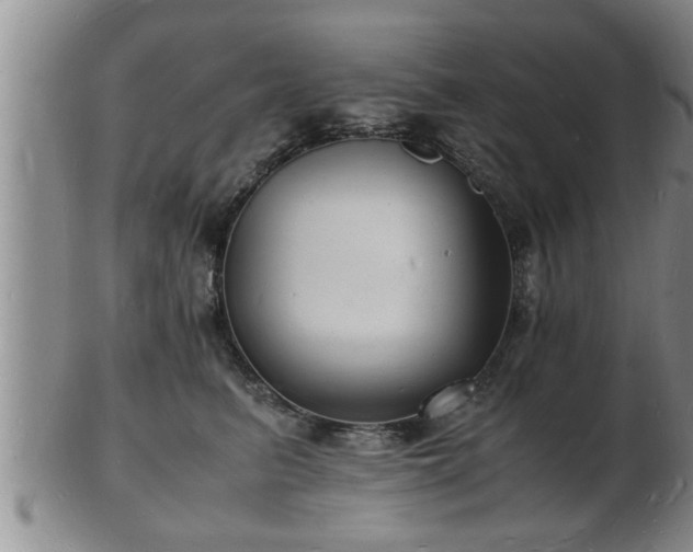 X0000103290615200809051501