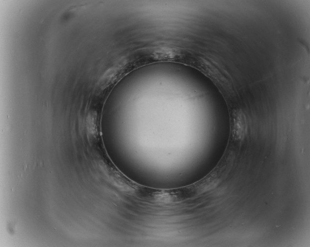 X0000103290616200809051501