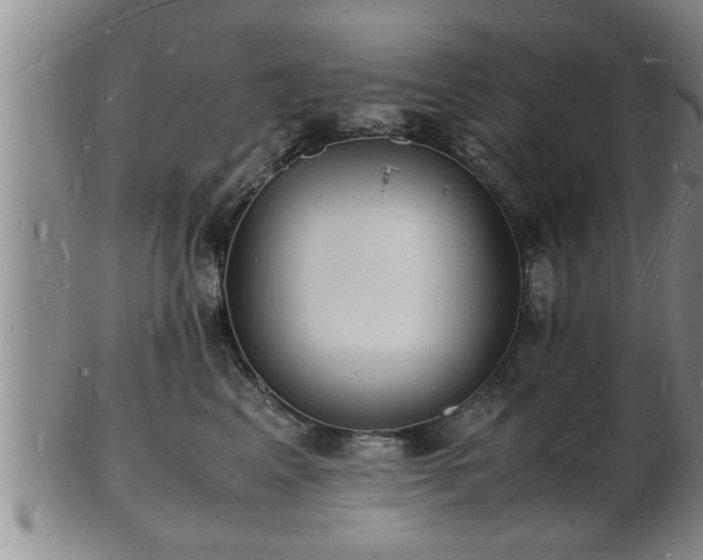 X0000103290617200809051501